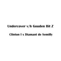 2019 :5 Undercover .jpg