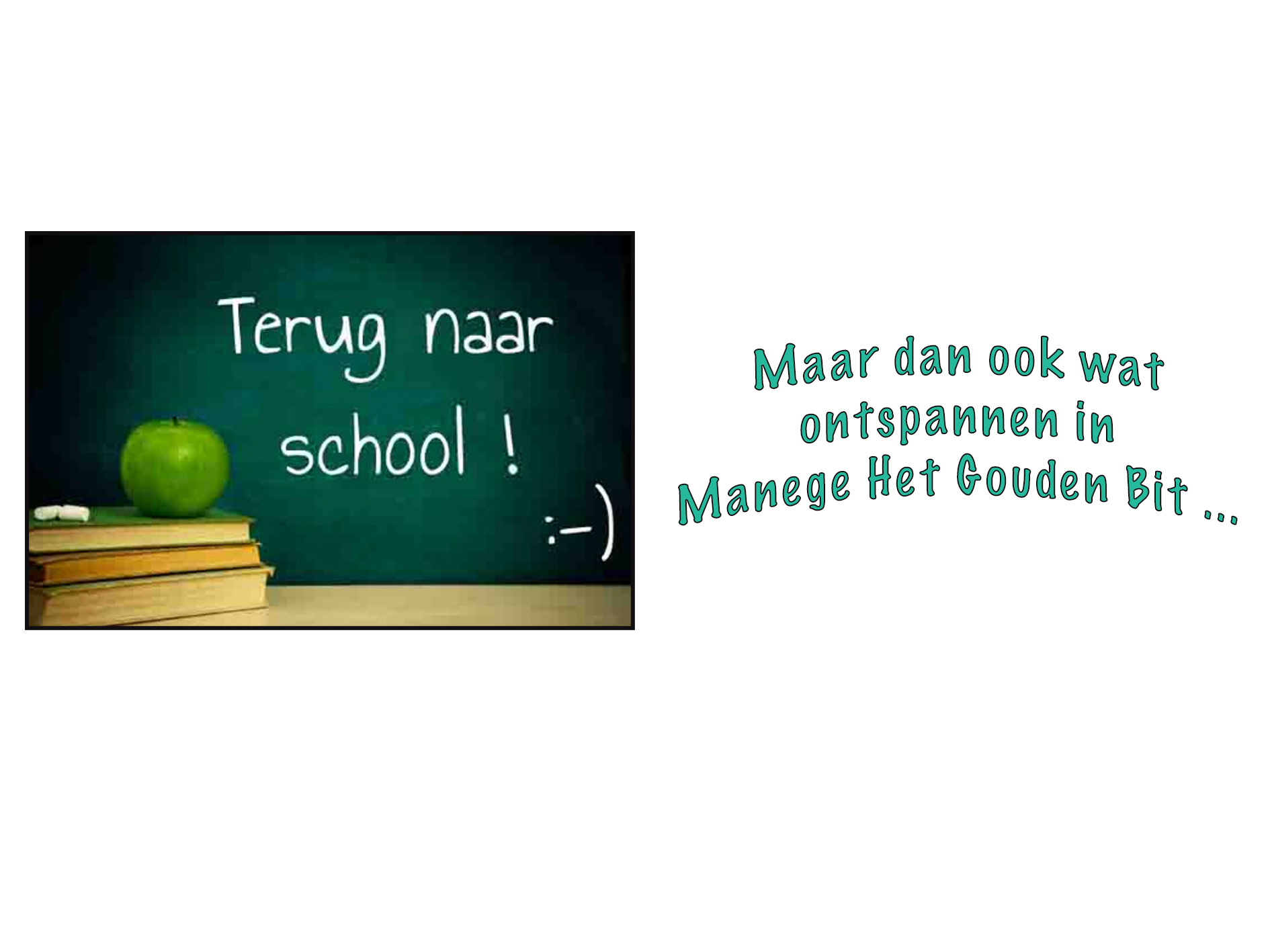 Terug naar school en naar de rijles ?