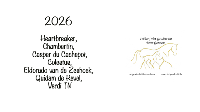 2026 Les poulains 2026 seront bient&ocirc;t l&agrave; !