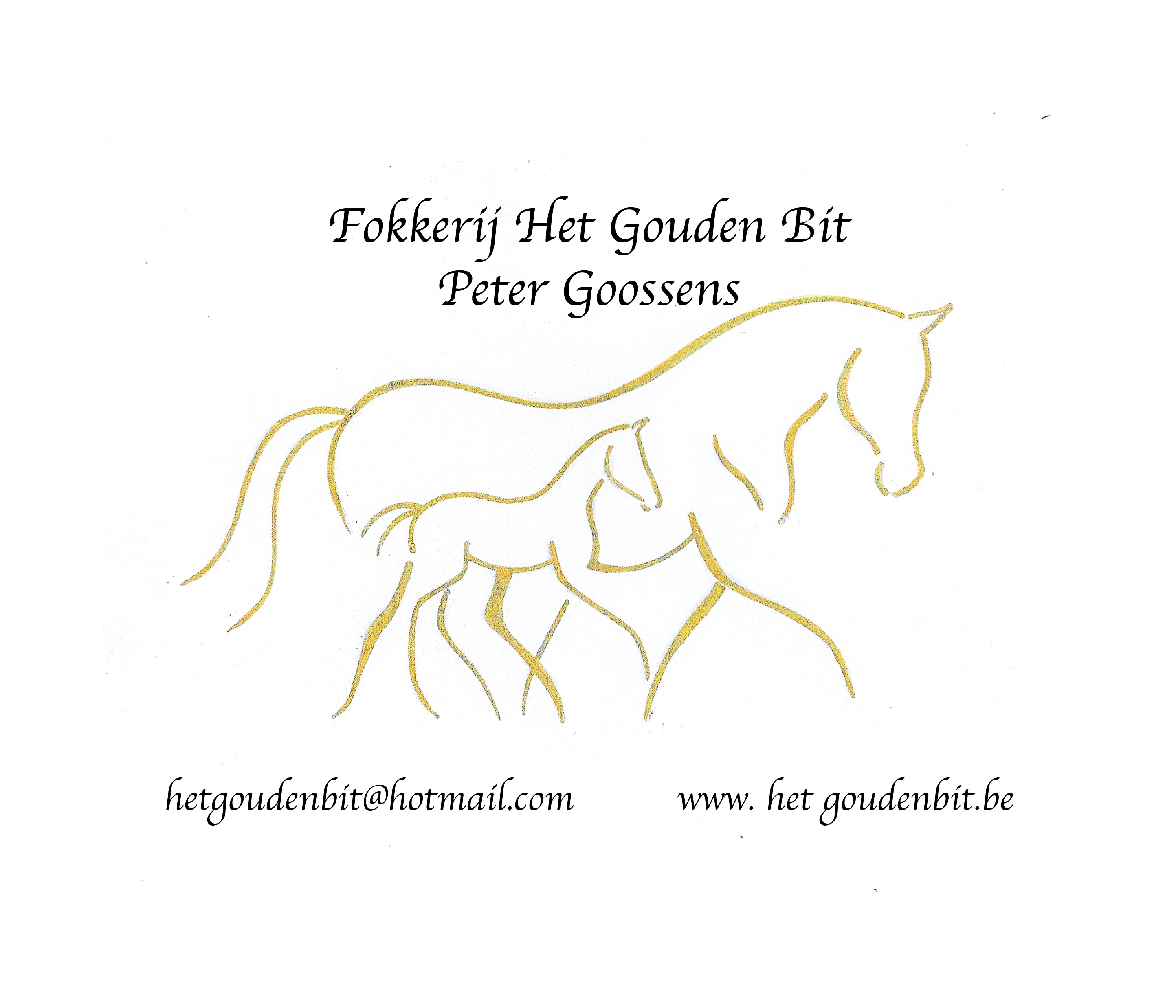 Voil&agrave; les deux premiers poulains !